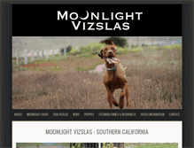 Tablet Screenshot of moonlightvizslas.com